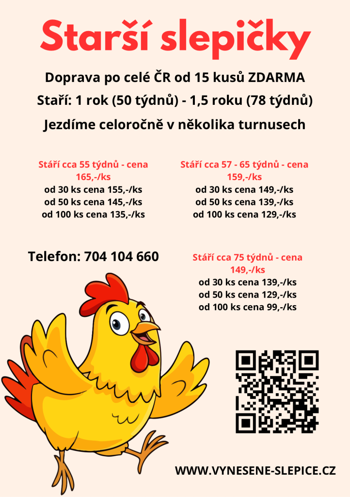 plakát